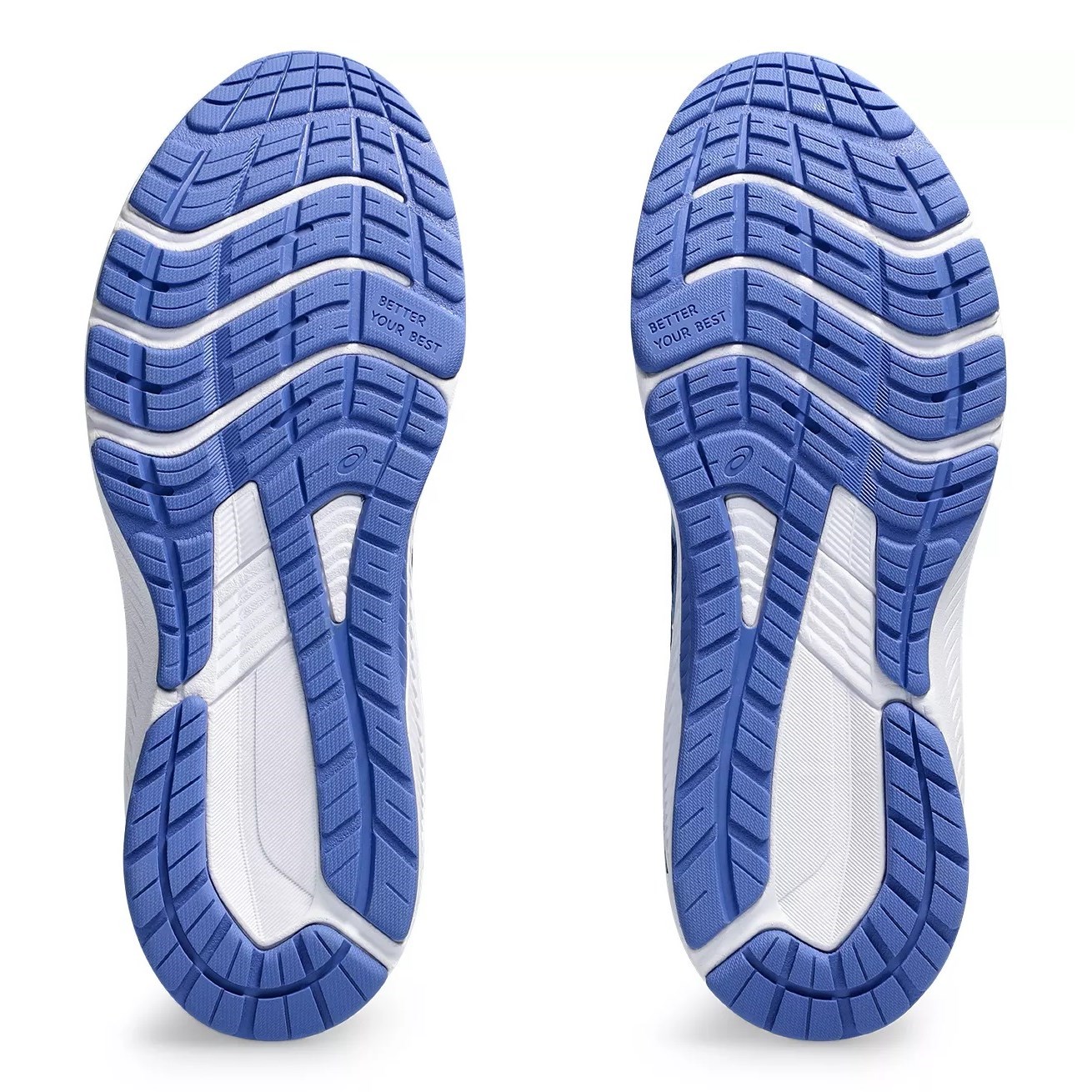 Asics GT-1000 12 GS - Kids Running Shoes - French Blue/Light Sapphire ...
