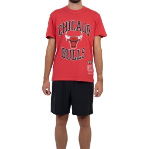 Mitchell & Ness Chicago Bulls Vintage Crest Logo Mens Basketball T-Shirt - Faded Red