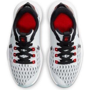 Nike Lebron Witness V PS - Kids Basketball Shoes - Pure Platinum/Black/Chile Red/Light Dew