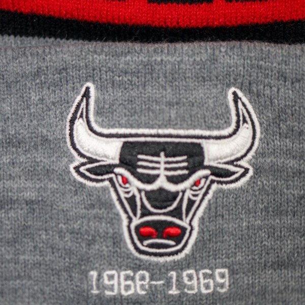 Mitchell & Ness Chicago Bulls Team Tone Knit Basketball Beanie - Chicago Bulls