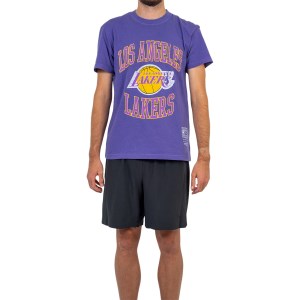 Mitchell & Ness Los Angeles Lakers Vintage Crest Logo Mens Basketball T-Shirt - Faded Purple