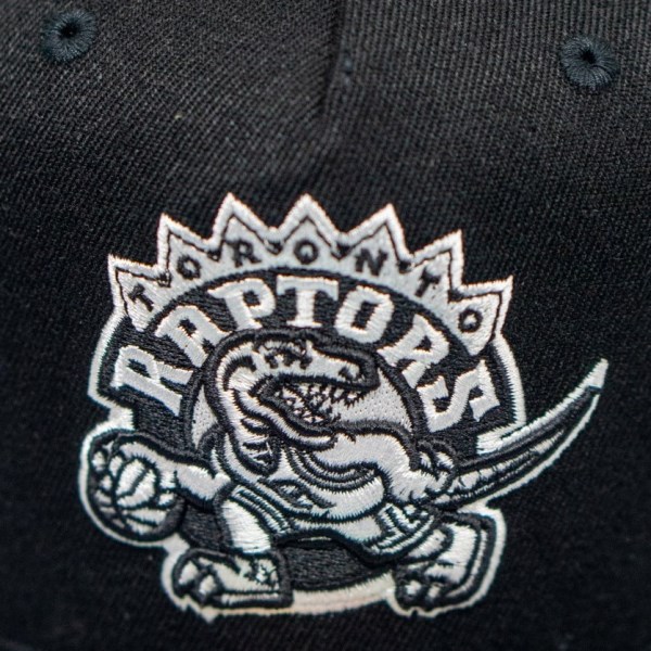 Mitchell & Ness NBA Toronto Raptors Logo 110 Snapback Basketball Cap - Toronto Raptors