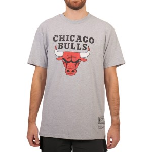 Mitchell & Ness Distressed Chicago Bulls Logo Mens Basketball T-Shirt - Grey/Marl