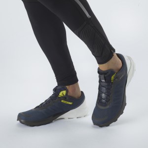 Salomon Sense 4 Pro - Mens Trail Running Shoes - Ebony White/Evening Primrose