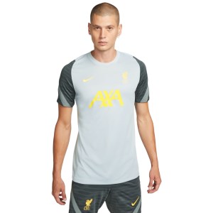 Nike Dri-Fit Liverpool FC Strike Mens Short Sleeve Soccer Top - Wolf Grey/Smoke Grey/Chrome Yellow
