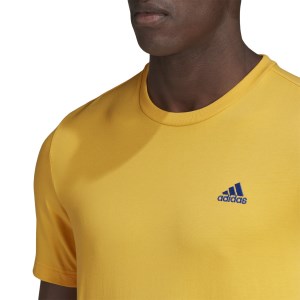 Adidas Graphic Mens Short Sleeve T-Shirt - Active Gold/Royal Blue