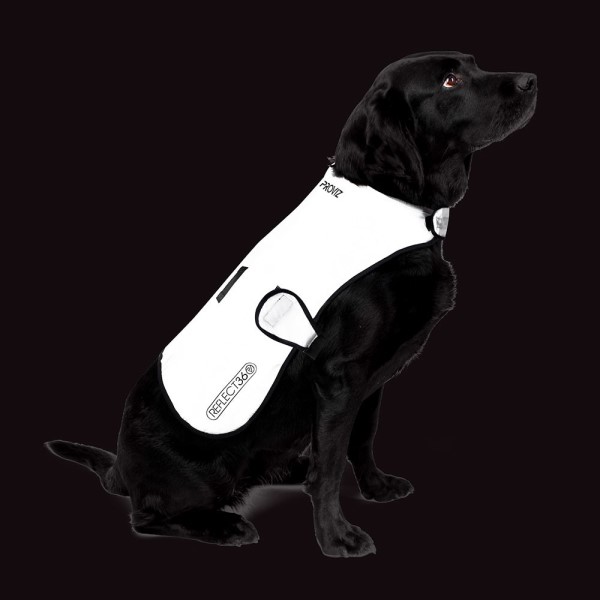 Proviz Reflect360 Waterproof Dog Coat - Grey/Reflective Silver
